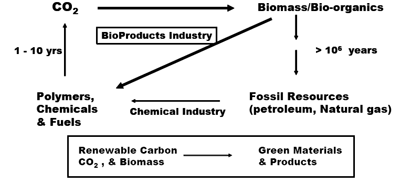 Figure 1. Global carbon cycle – sustainability driver