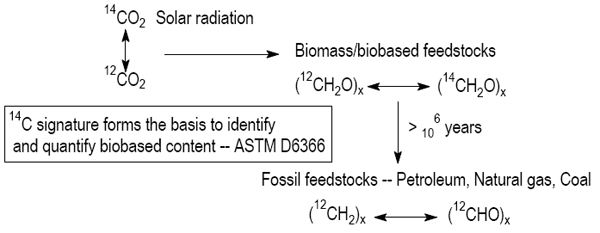 Figure 2. Carbon-14 method to identify and quantify biobased content